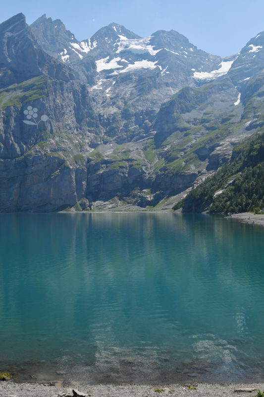 SUISSE_Oeschinensee_17