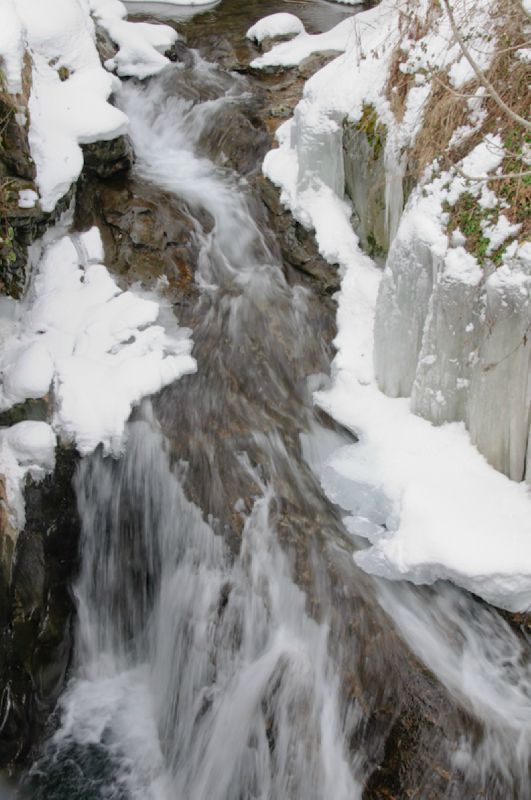 LA NEIGE FOND