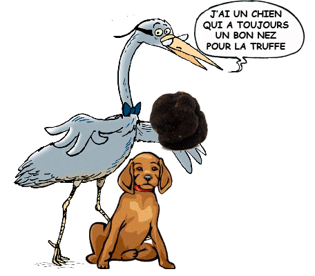 ODITRUF