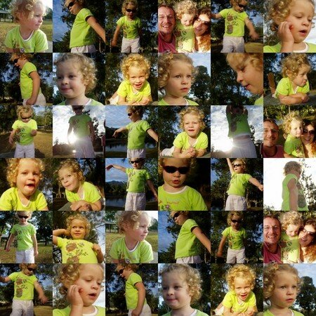collage3