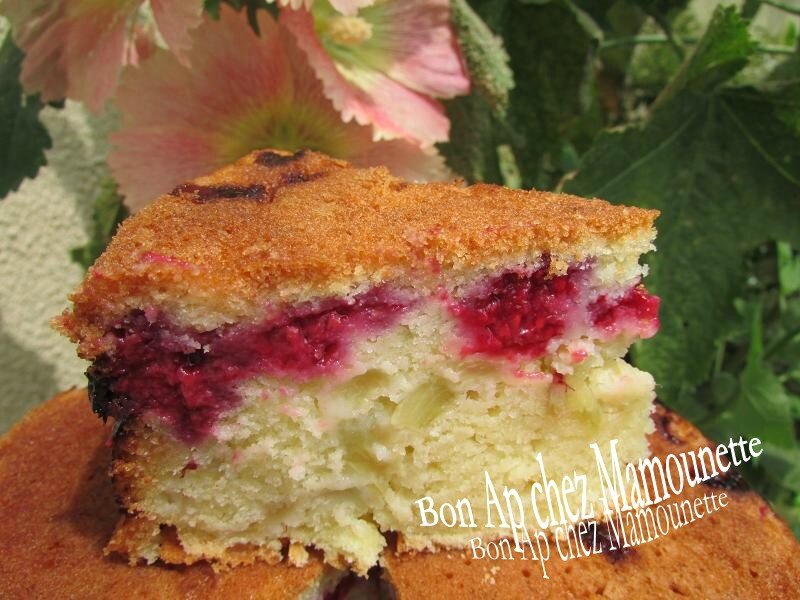 gâteau aux framboises et rhubarbe du jardin 028
