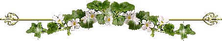 barre_Lierre_fleur_1