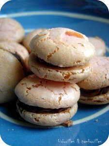 macaron_chocopassion_281207