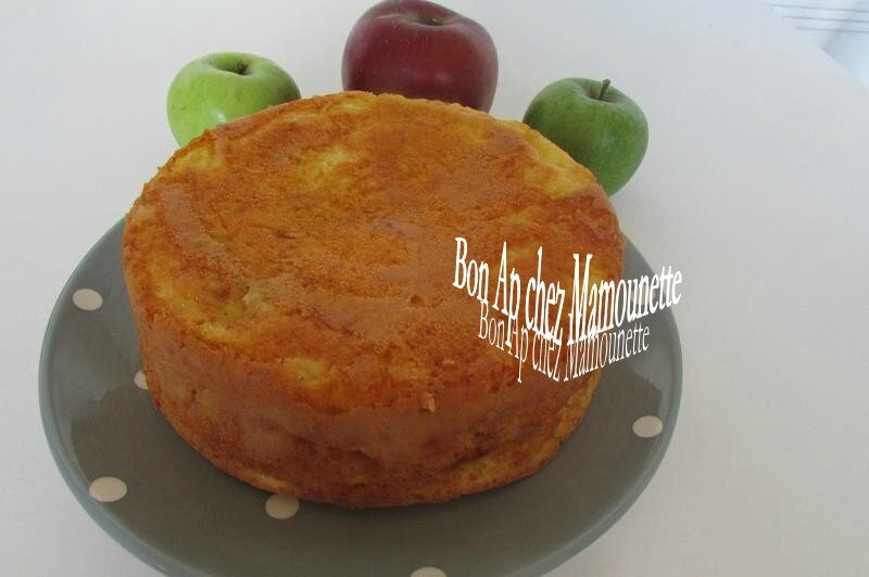 Pommes cueillette sept 2015 et gâteau aux pommes du verger 039