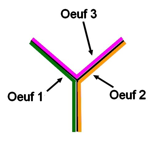 195_Pâques_Gros oeuf pour les petits (75)