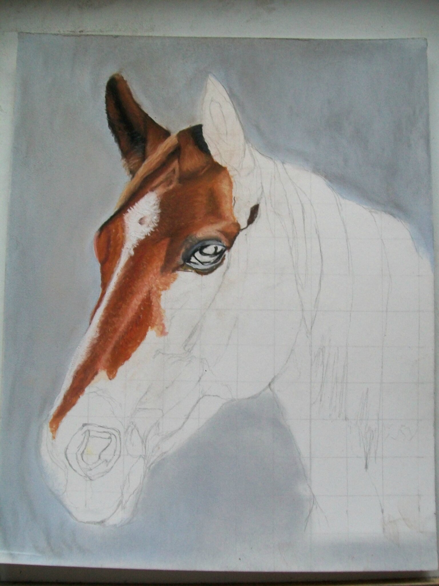 Pastel sec sur papier pastelmat 24x30cm protrait poney Alezan