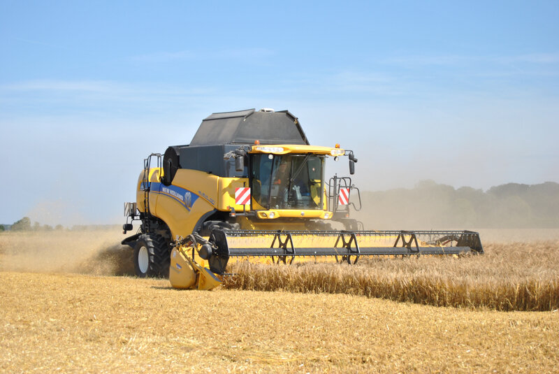 baromesnil moisson ledoux 16-07-2019 001 (39)