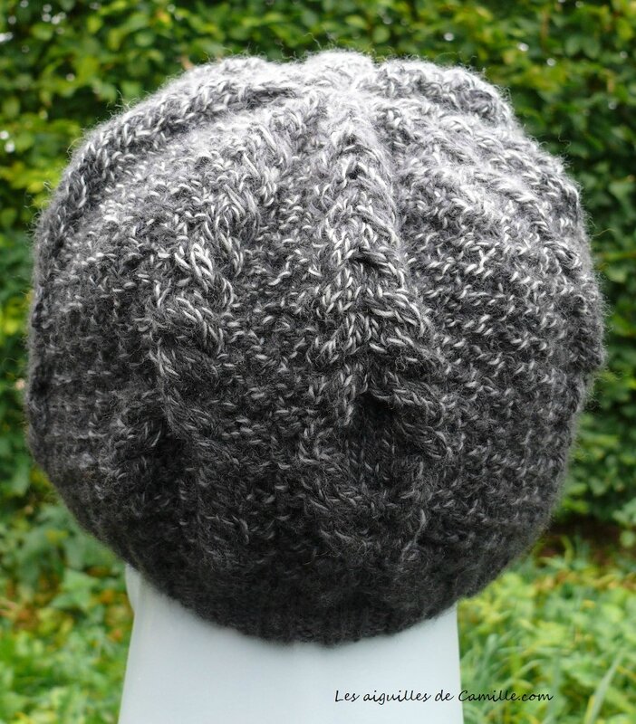 Bonnet Introspection 4