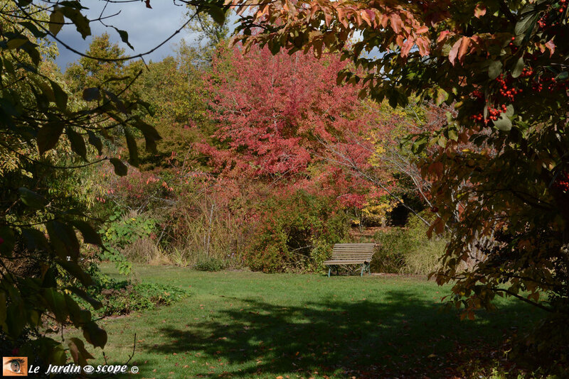 PAT_9002-Berville