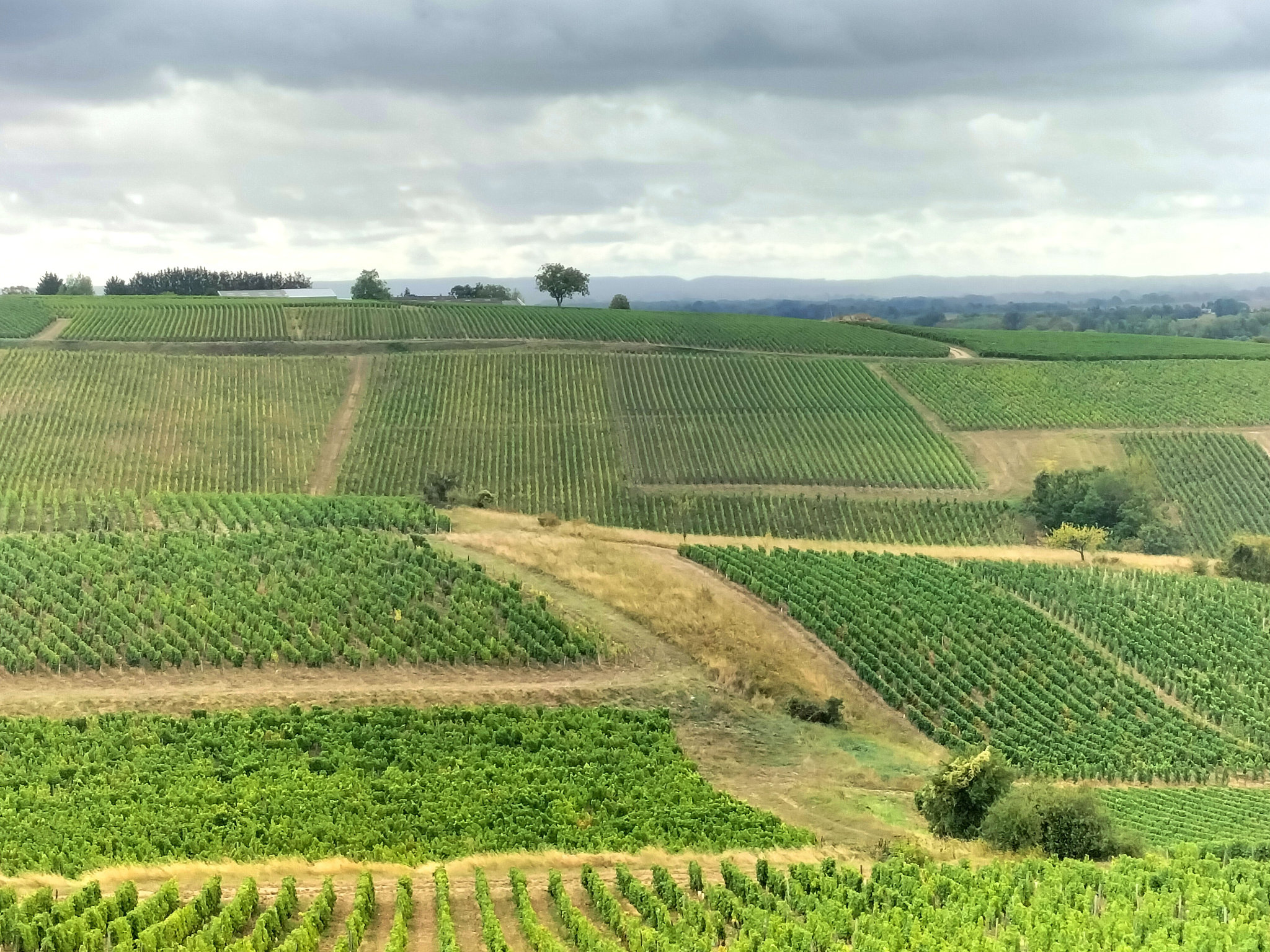 Pouilly-sur-Loire, de Loire en vignes, la Loge aux moines, lignes (58)