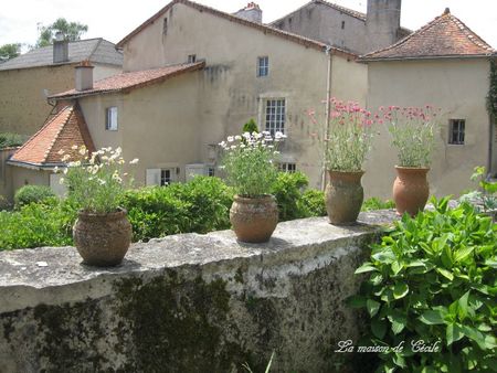 Pots fleurs