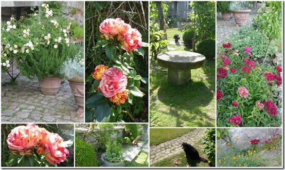 jardin 24 mai 20207