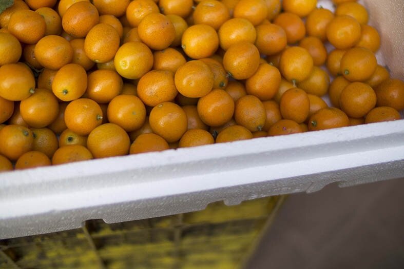 kumquats