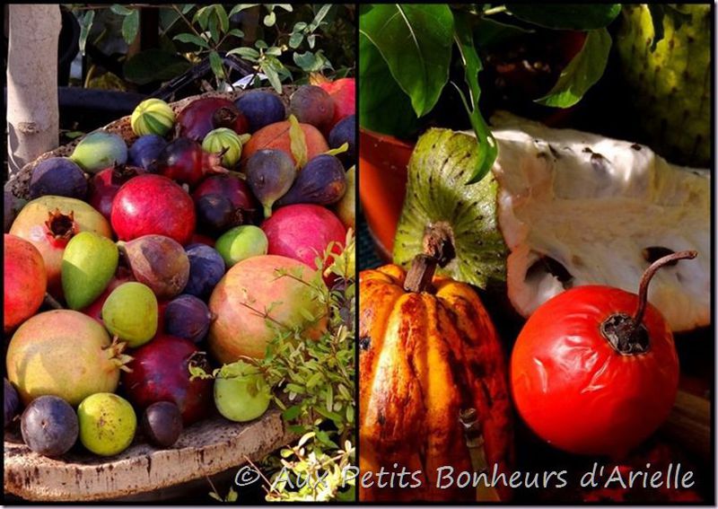 Fruits légumes et fleurs d'automne (20)