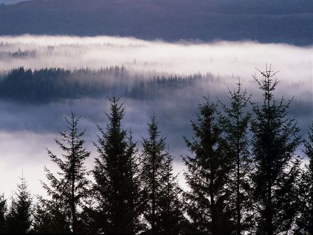 Misty_Glen_Garry__Skye_and_Lochalsh__The_Highlands__Scotland