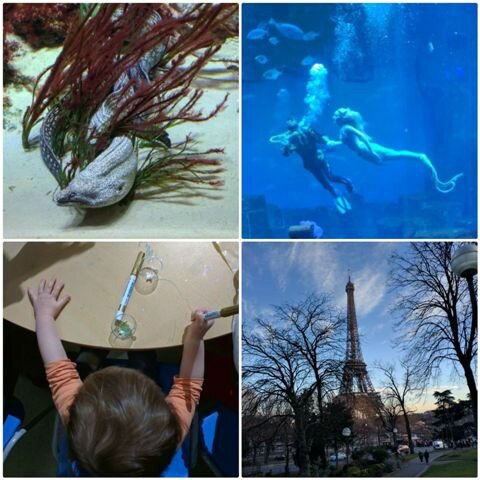 Féérie à l'Aquarium de Paris ©Kid Friendly