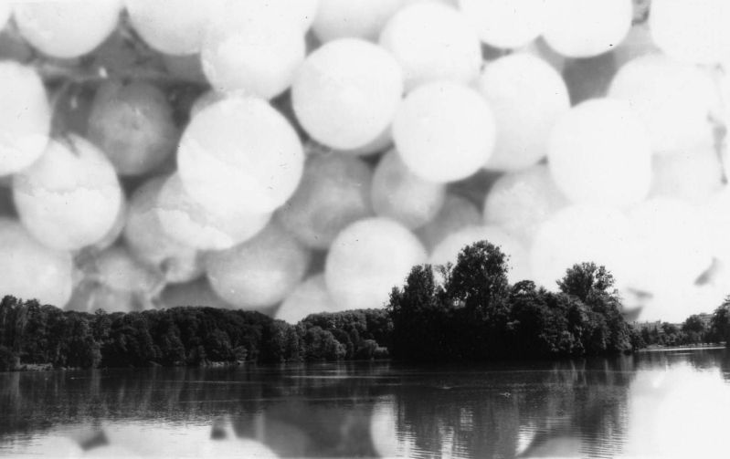 File0019