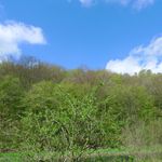 2013-05-0527