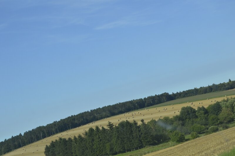 _DSC0043