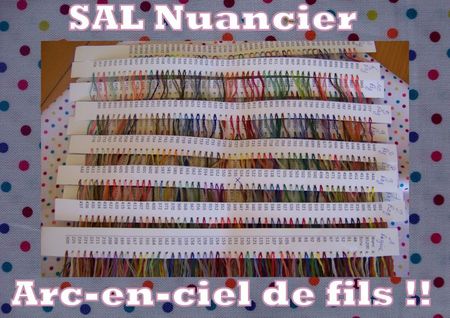 SAL Nuancier-1