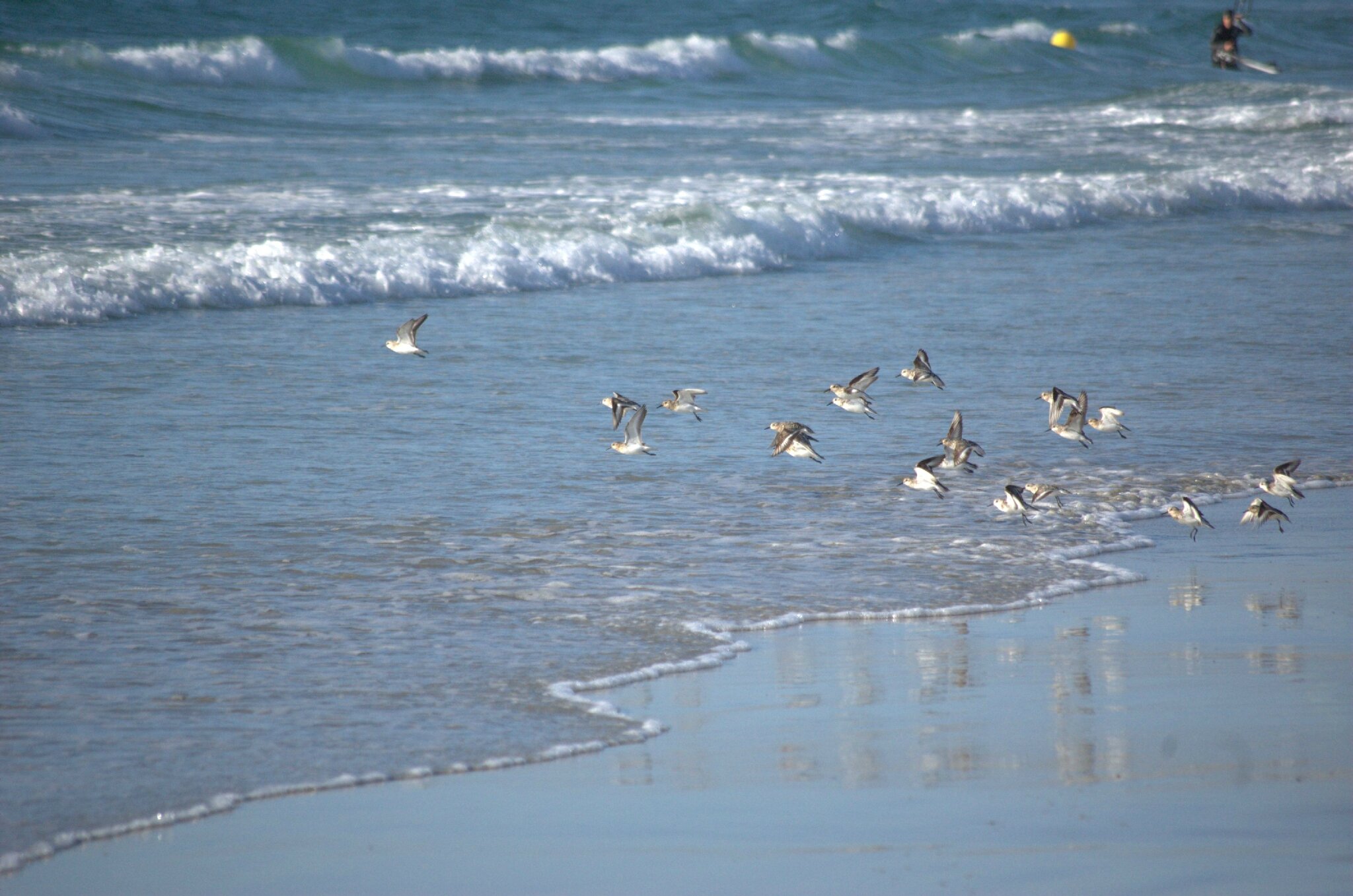 2013-08-09-20h14m28DSC_1138