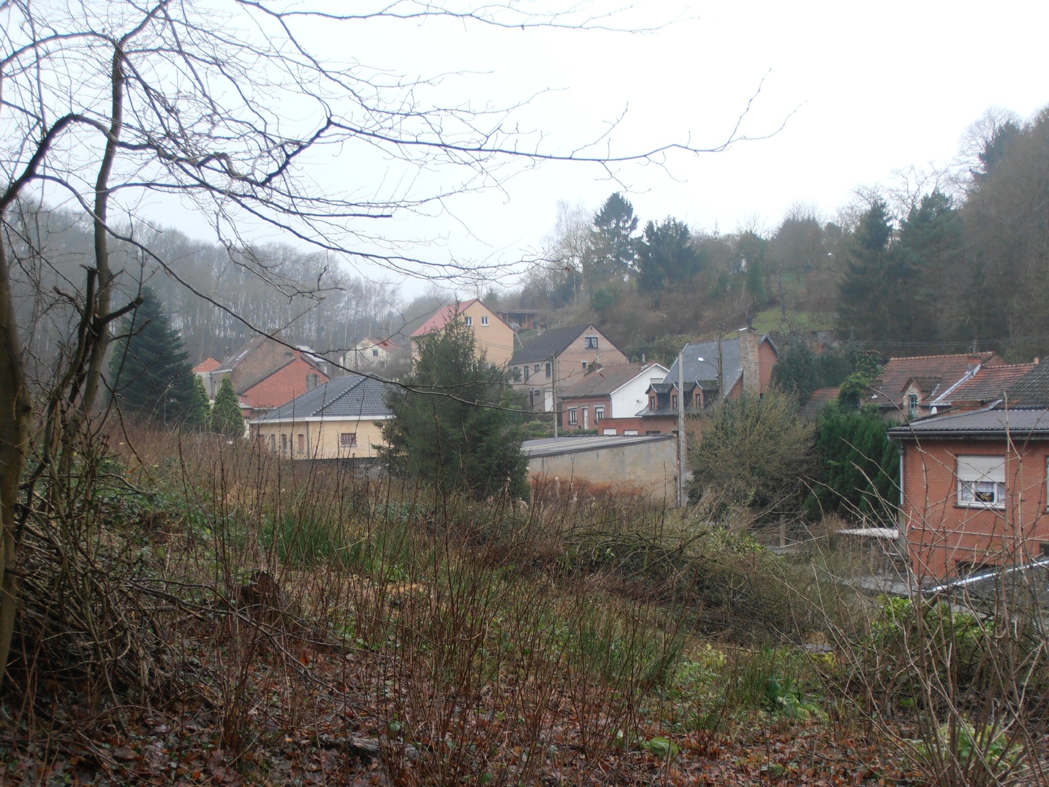 Rue du Bois - 20130106_03