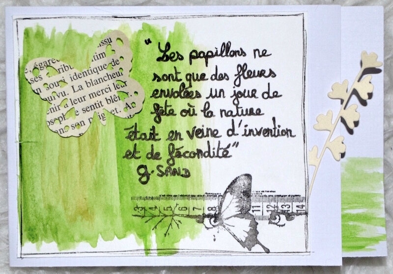 scraptiwi