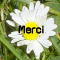 merci_flaur