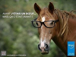 130424 - pub-krys-lunettes-boeuf-cheval-lasagne-findus-fail-spangher