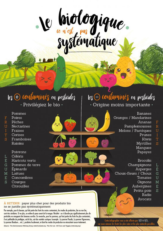 Infographie-bio-AlexAlex-BD-700x990