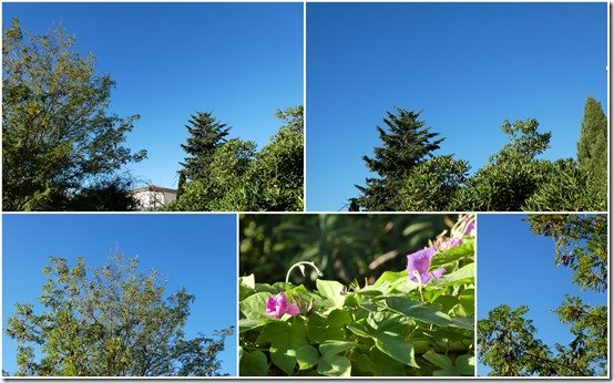 météo2