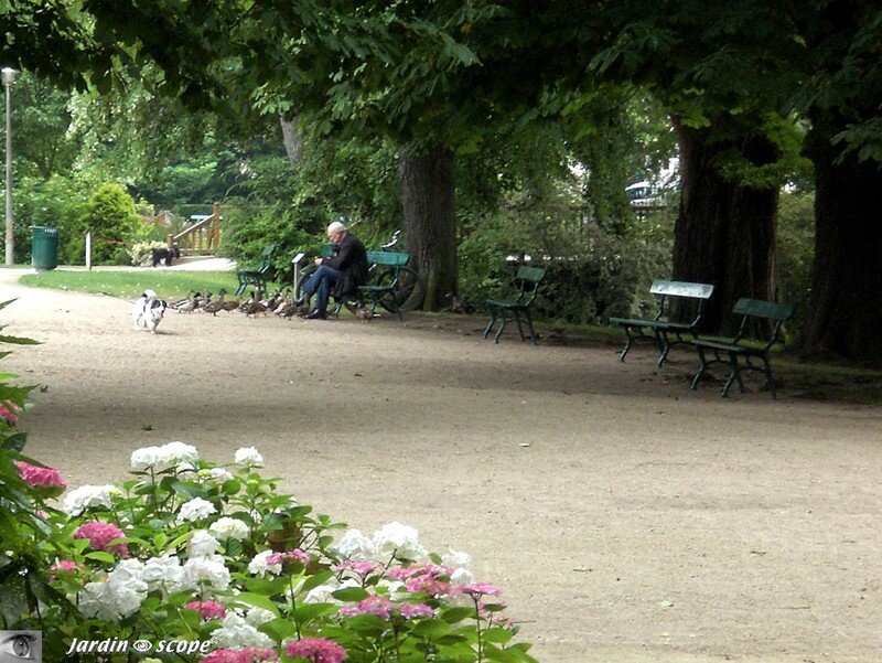 Au jardin des Prébendes d'Oé à Tours (37)
