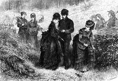 fern_illustrated_london_news_juillet_1871