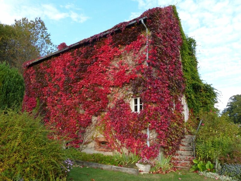 a-maison vigne