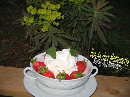 Fraises___la_menthe_du_jardin_et___la_chantilly_menthol_e_013