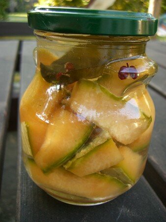 melon_004