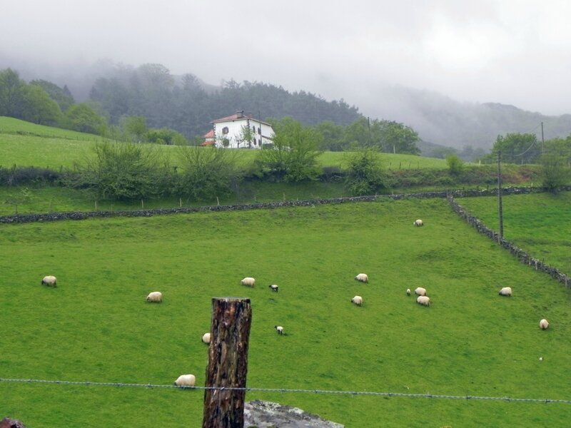 Pays basque j-p 2014 (42)