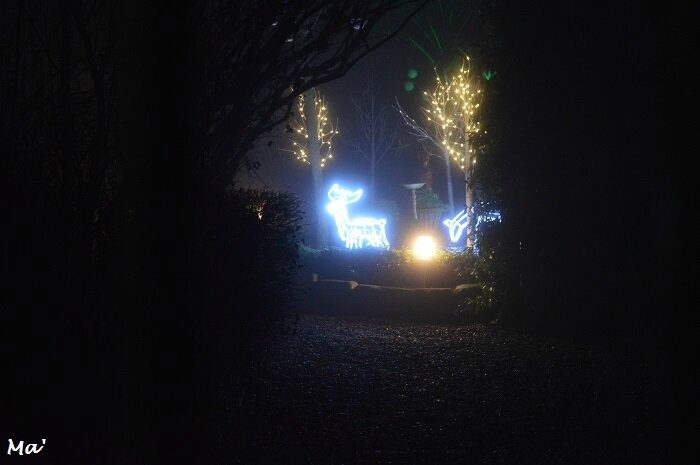 161222_lumiere_noel_1