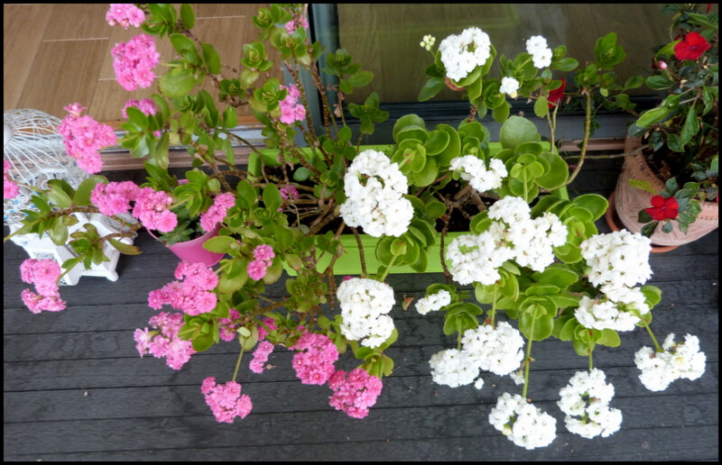 P1750298
