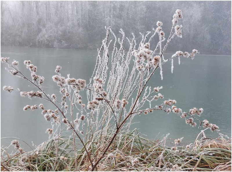 givre2