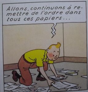 L'appart de Tintin est en bordel alors il le range