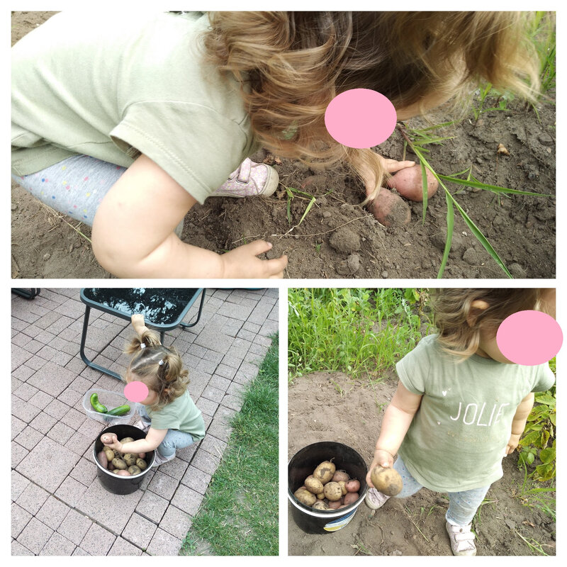 IMG_20200708_175335323-COLLAGE