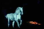 La belle et la bête
