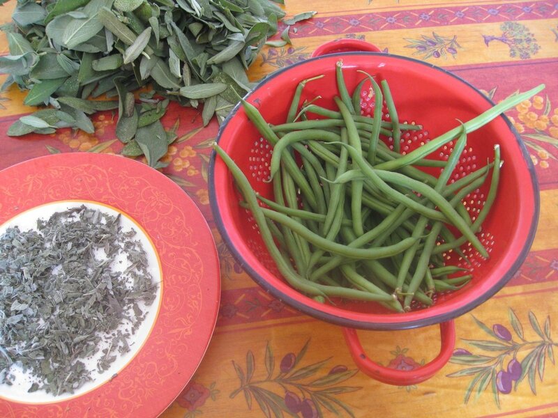 haricots verts