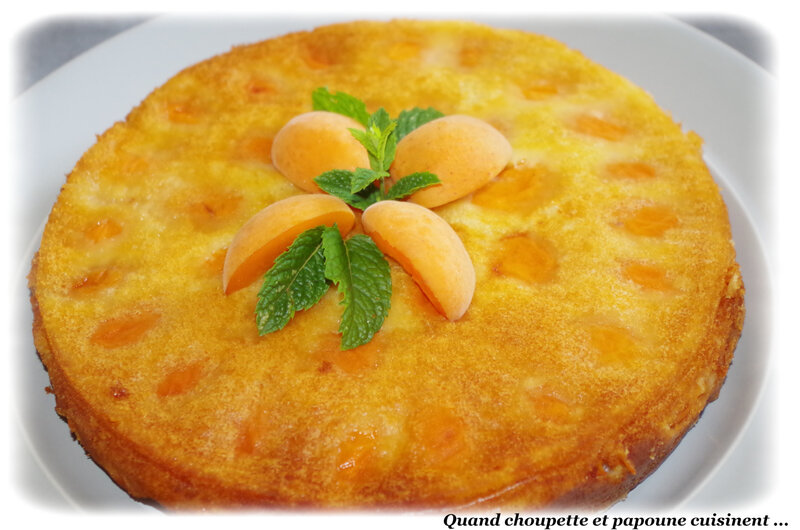moelleux d'abricots-5674