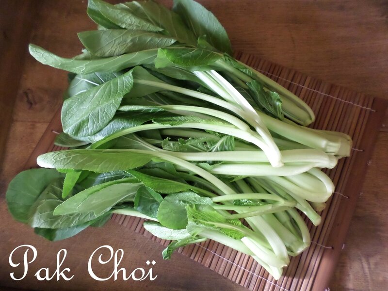 pak-choi