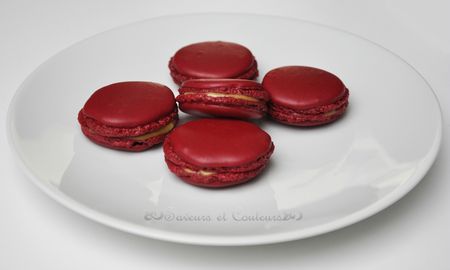 Macarons fd blanc