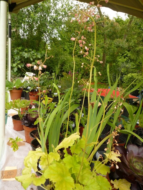 04jardin (7)