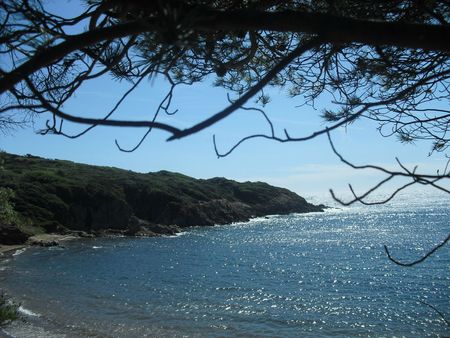 Sortie Porquerolles 19-9-2012 (57)