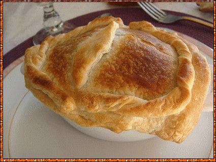vol_au_vent_termin_